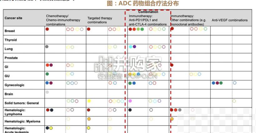 ADC药物行业报告：联合疗法（38页）